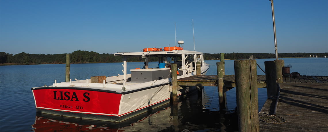 Watermen’s Heritage Cruises of the Chesapeake Bay
